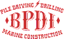 Logo of BPDI