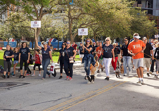 Employees from Stiles Corporation participate in the Humane Society of Broward County's annual Walk for the Animals.