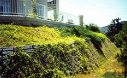 Earth Stone Retaining Walls