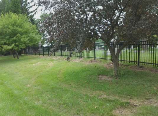 ornamental steel fence -- Cemetery 