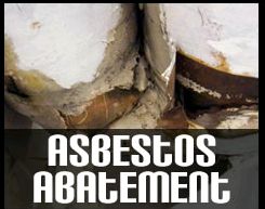 Asbestos Abatement 1