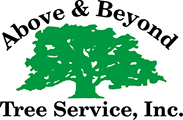 Above & Beyond Tree Service, Inc.