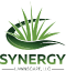 Synergy Lawnscape LLC