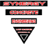 Synergy Concrete Engineering
