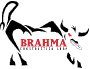 Brahma Construction Corp.