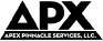 Logo of Apex Pinnacle Services LLC