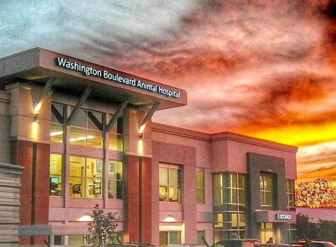 Washington Blvd Anaimal Hospital by in Whitter, CA | ProView