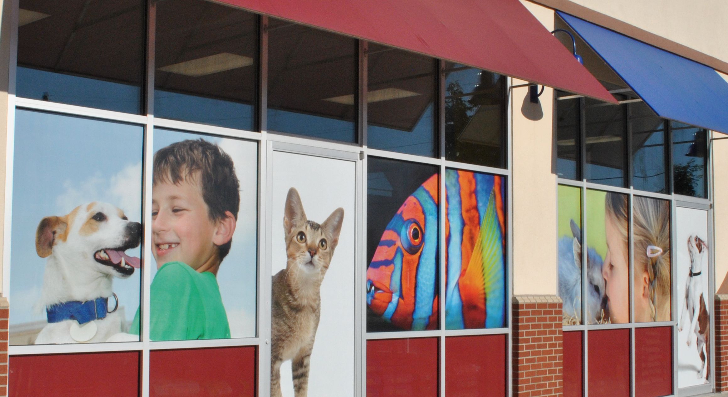 FASTSIGNS of Lee's Summit - Full Color Window Clings created for Petland  Image | ProView