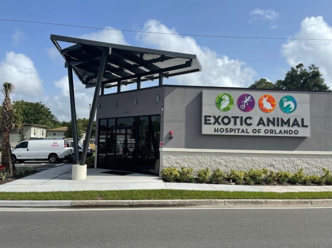 EXOTIC ANIMAL HOSPITAL by in ORLANDO, FL | ProView