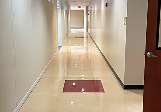 GAVASHA, Inc.’s largest project, which Grisselle is most proud of, was to clean a 35,000-sq.-ft. building, including 100 windows, post renovation, in one day.